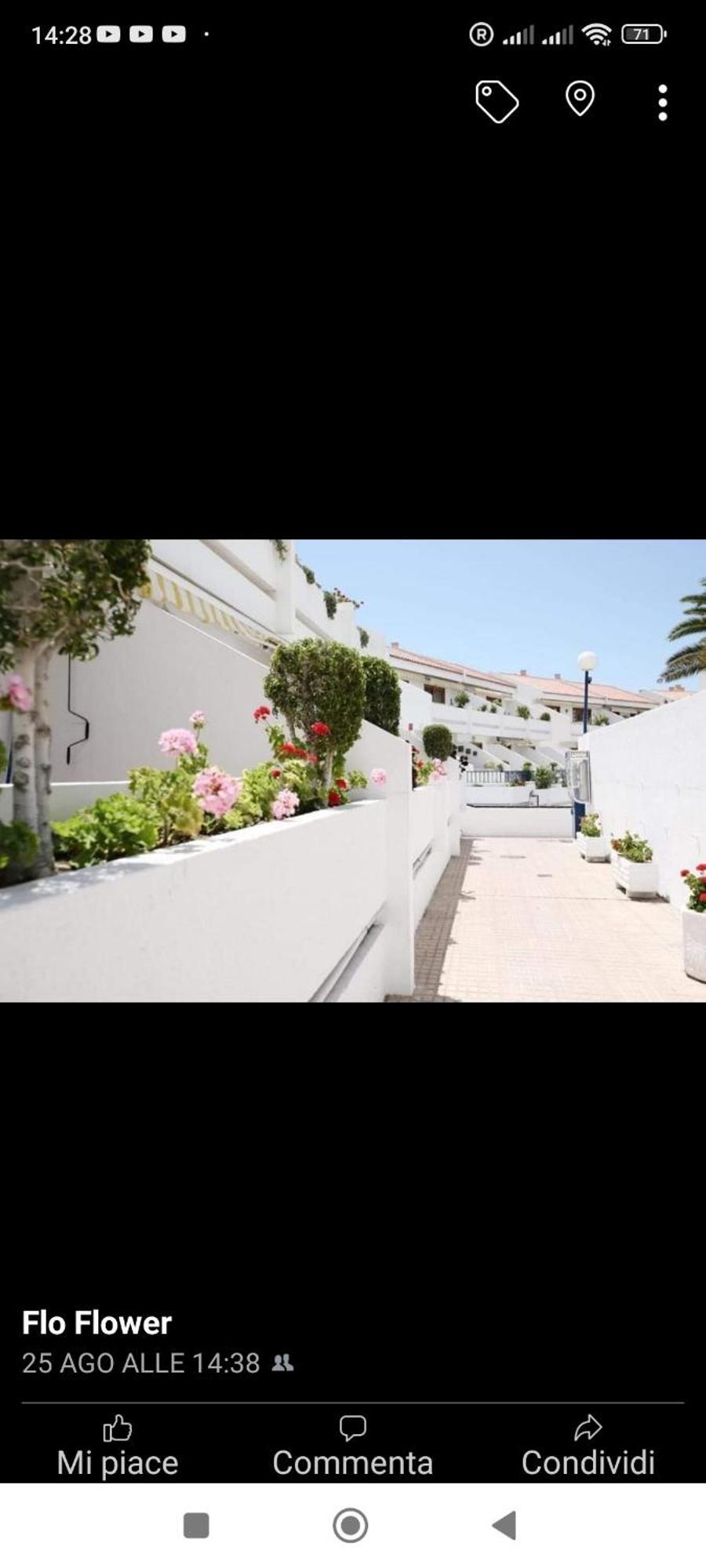 אדחה Garden City מראה חיצוני תמונה