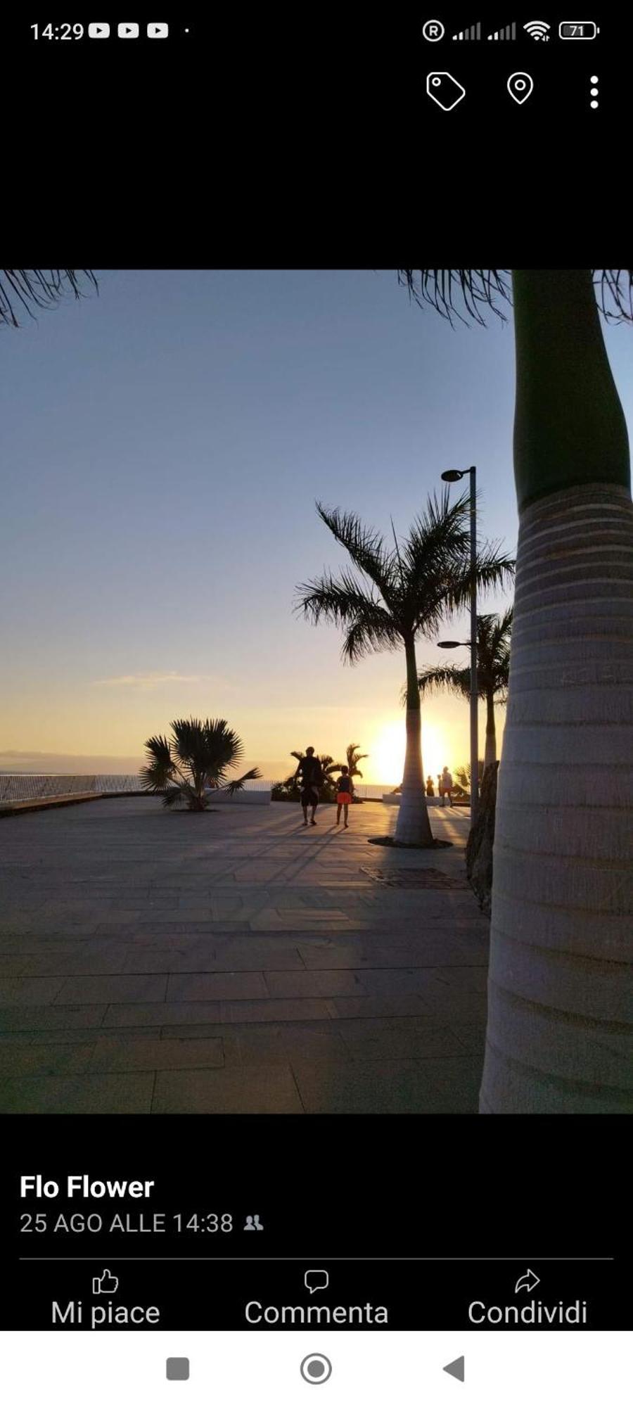 אדחה Garden City מראה חיצוני תמונה